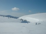 Krkonoše